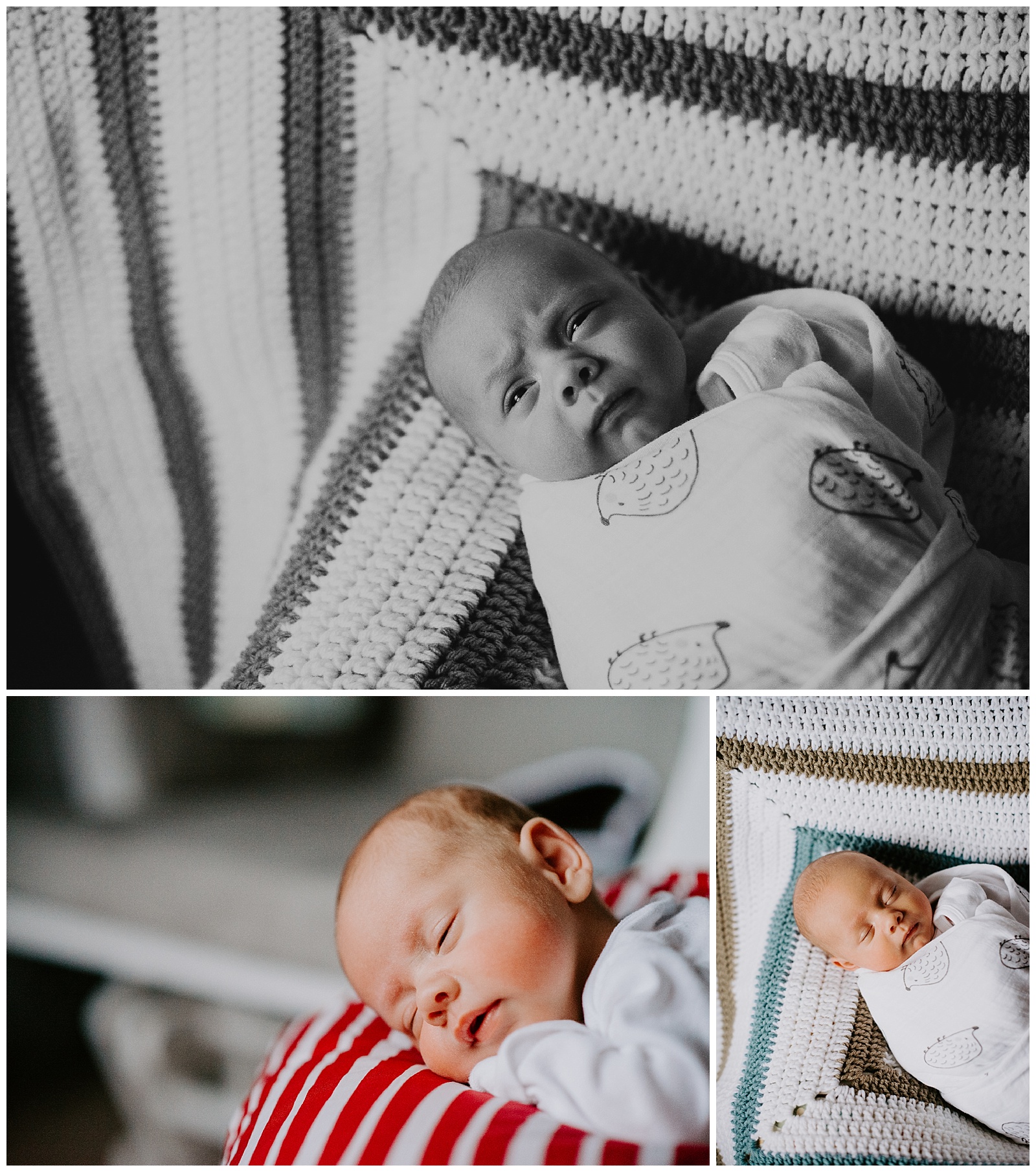 West Michigan Newborn Photographer In Home Session