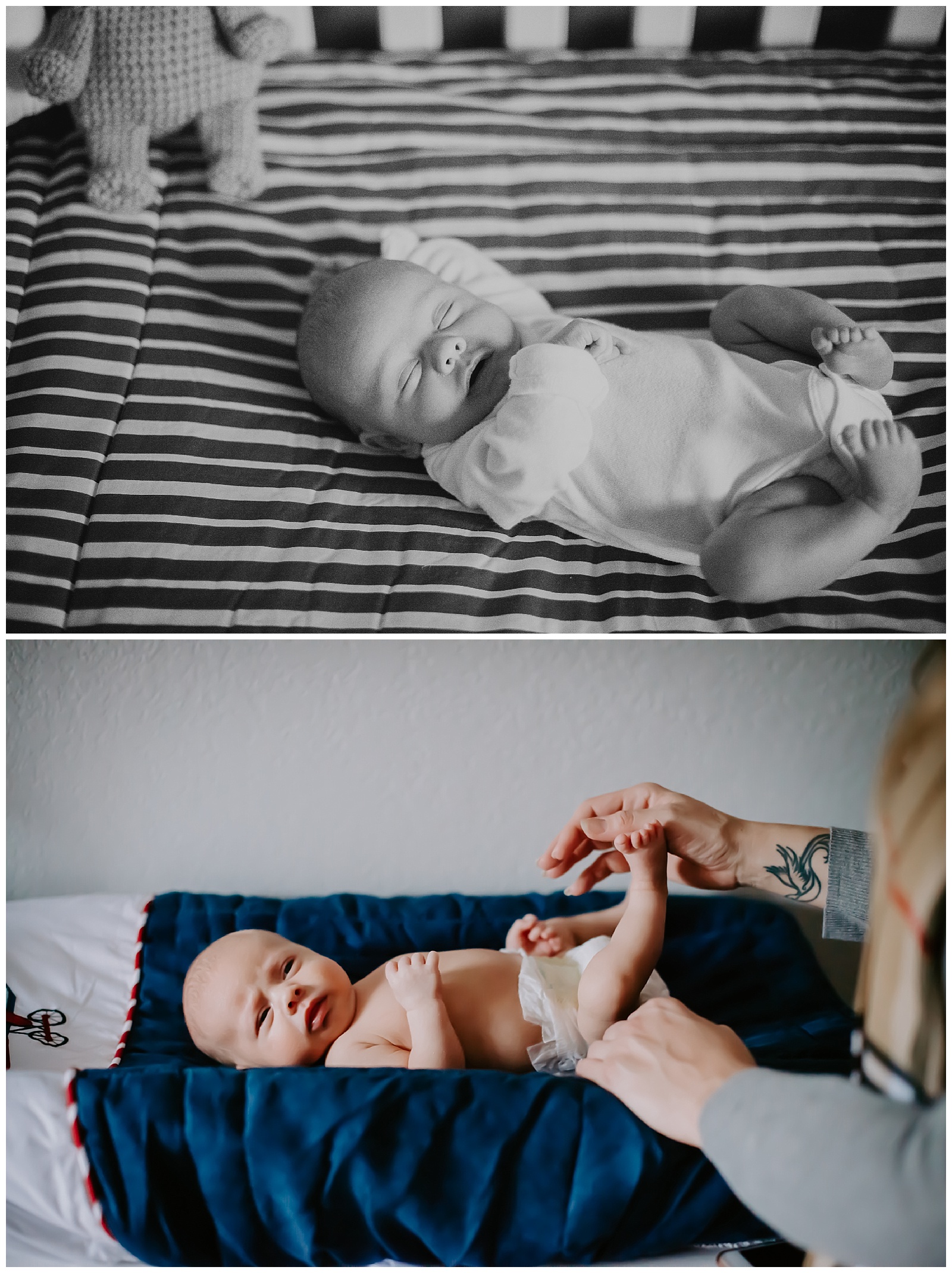 Holland Michigan Newborn Photographer In Home Session