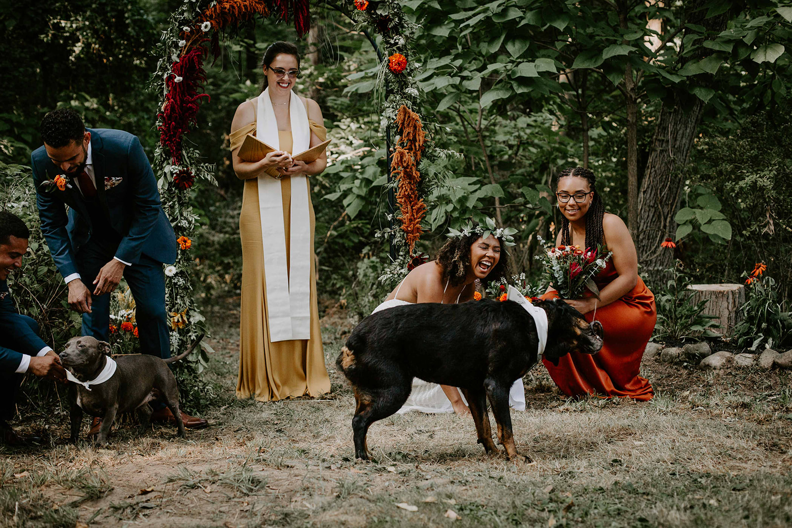 Dogs in wedding. Ring bearer. Outdoor wedding. intimate wedding photography. Michigan photographer. 