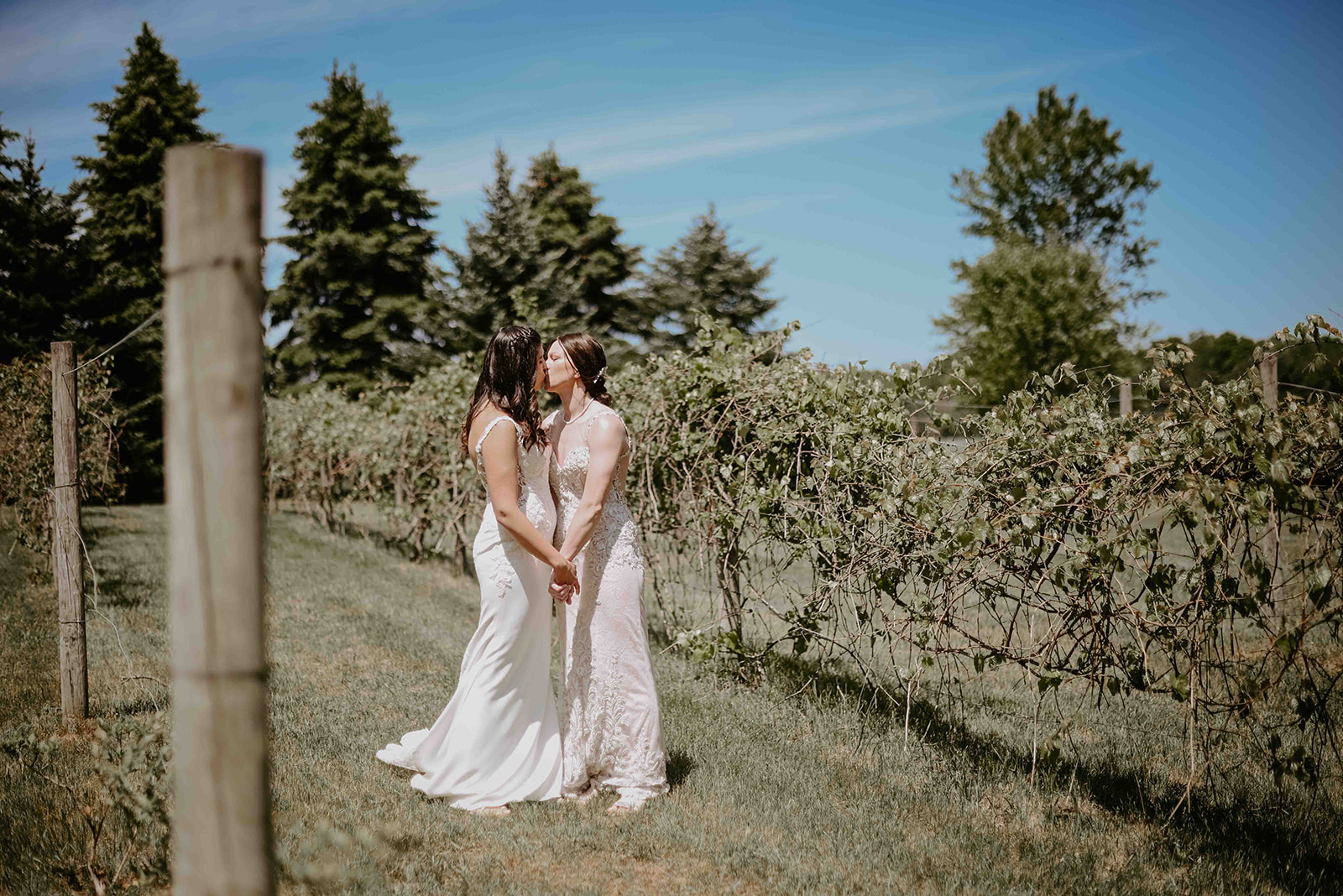 inisfree farm, Michigan Wedding Venue, Pullman MI, LGBTQ, Michigan Wedding Photographer