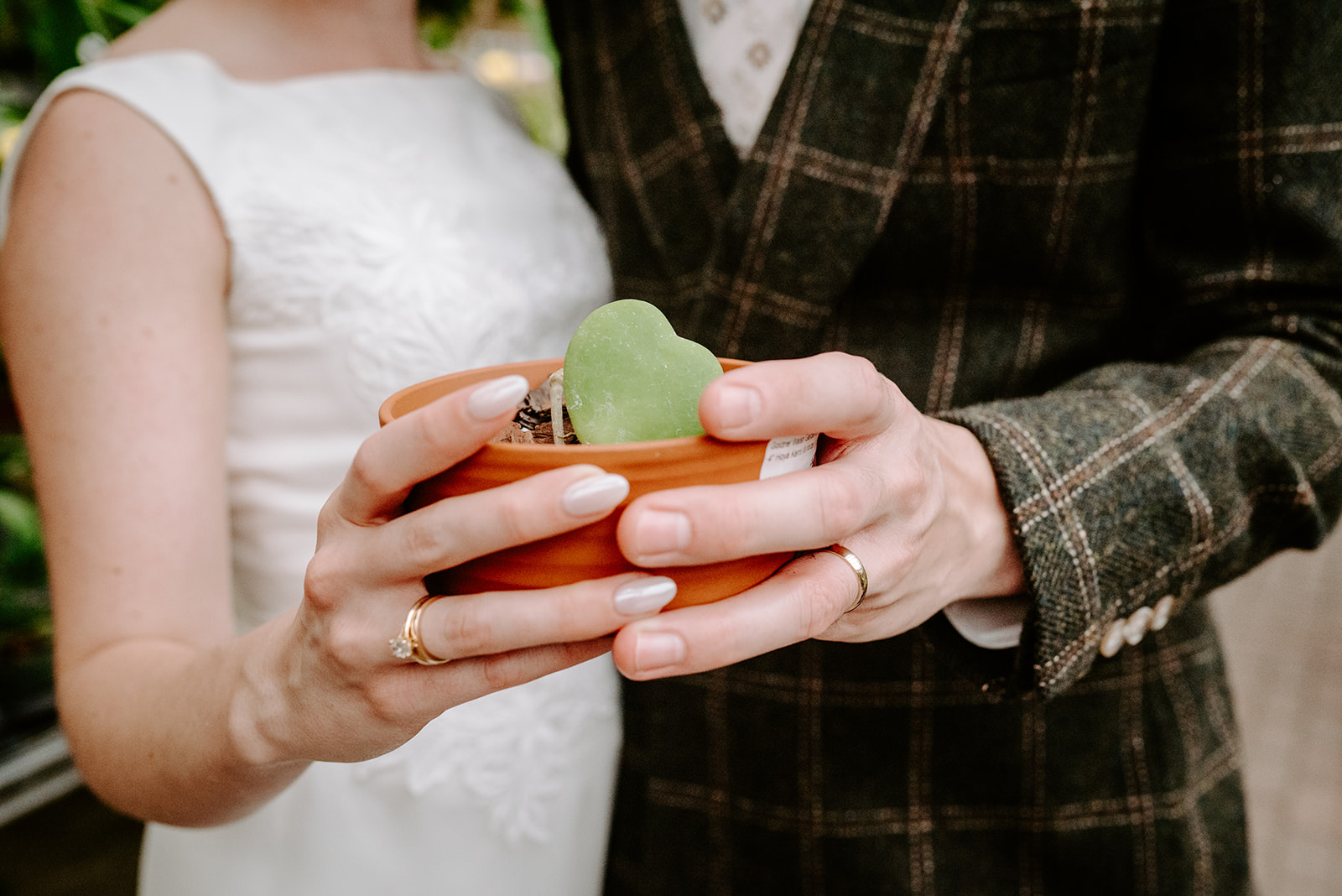 up close ring shot of wedding portraits of bride and groom greenhouse wedding at goldner walsh greenhouse in pontiac michigan by grand rapids and west michigan wedding photographer Liv Lyszyk Photography